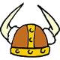 Viking Computer Consulting