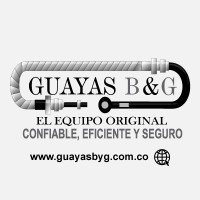 Guayas B y G logo - Similar company to Intersect Ai Labs