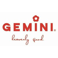 GEMINI INDUSTRIES logo - Similar company to Hemkunt Industries