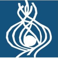 Temple Emanu-El logo - Similar company to Women Everywhere Believe