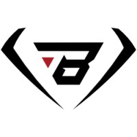 BRAIH logo - Similar company to M2Linx Design Sl
