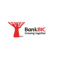 Bank BIC Namibia logo - Similar company to Access Bank Namibia