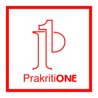 Prakriti One Limited logo - Similar company to Sonarpulse (Aml.Cft)