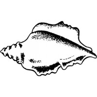 Bay Recruiting LLC logo - Similar company to Peak Power Services