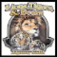 Lions Tigers & Bears logo - Similar company to Young Artist Academy