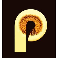 Project Perfect LLC logo - Similar company to Krkr Media