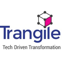 Trangile Services logo - Similar company to Vinculum Group