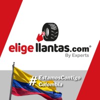 Eligellantas logo - Similar company to Tullanta.Com