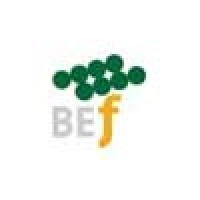 Banco Europeo de Finanzas logo - Similar company to Exides, S.L
