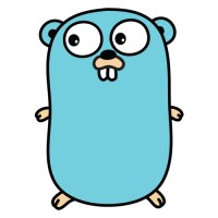 Golang Developer Student Association logo - Similar company to Golang Developer