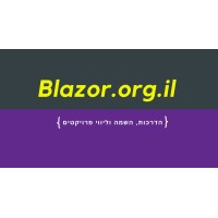Blazor.org.il logo - Similar company to Blazor Technologies Inc