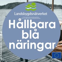 Hållbara blå näringar logo - Similar company to Apm Project
