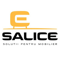 Salice Cluj-Napoca logo - Similar company to Nse Nv