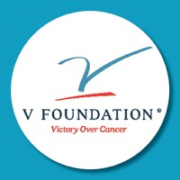 the V Foundation logo - Similar company to Longleaf Agency