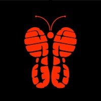 Coletivo Vida Corrida logo - Similar company to Instituto Tiago Camilo