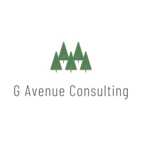 G Avenue Consulting LLC logo - Similar company to Skilldirector