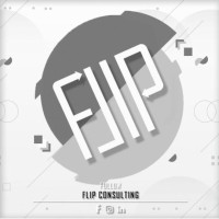 Flip Consulting logo - Similar company to Flio