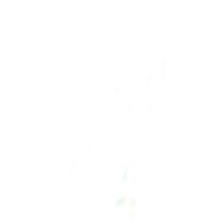 Digital Voice logo - Similar company to Heima Production