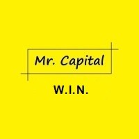 Mr. Capital® - W.I.N. logo - Similar company to Mr. Capital®