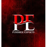 PUNISHER ESPORTS logo - Similar company to Rex Esports