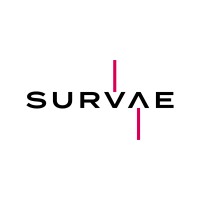 Survae logo - Similar company to Video Design Formation