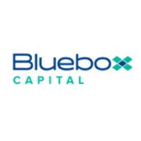 Bluebox Capital logo - Similar company to Thwack Partners