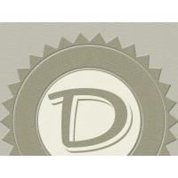 Dinero Capital