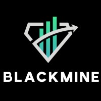 BlackMine LLC logo - Similar company to Step By Step Accounting