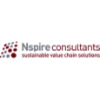 Nspire Consultants