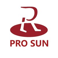 Beijing Pro Sun Technology Co., Ltd. logo - Similar company to Satori Formation