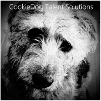 CookieDog Talent Solutions Ltd logo - Similar company to Pass The Jam