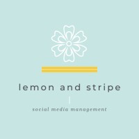 Lemon and Stripe logo - Similar company to Stripe Visual Studio
