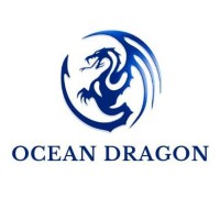 Ocean Dragon Team logo - Similar company to Uraz Model Uydu Takımı