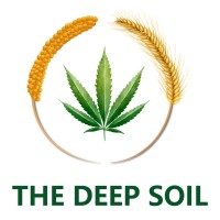 Deep Soil Private Limited logo - Similar company to True Millet