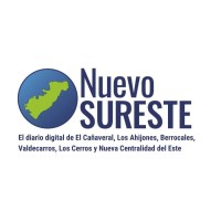 Nuevo Sureste logo - Similar company to Zyntec