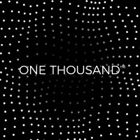 ONE THOUSAND™ logo - Similar company to 3Sd S.R.L.