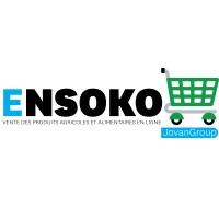E-Nsoko.cd logo - Similar company to Nsoko