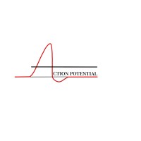 Action Potential Life