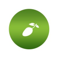 Olive Applications And Technologies