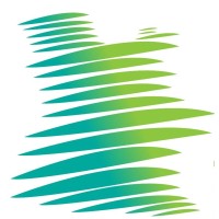 Angolan Professional Network logo - Similar company to Videve