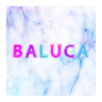 Baluca logo - Similar company to Datamartin