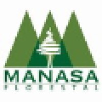 Manasa Incorporadora e Construtora