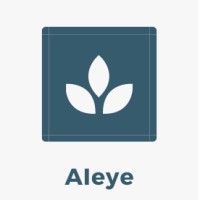 AIeye logo - Similar company to Aimind