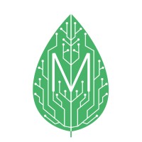 MasterIT logo - Similar company to Masterit