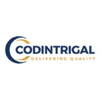 Codintrigal  IT Solutions logo - Similar company to Iksha Productions