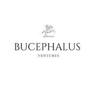 Bucephalus logo - Similar company to Bucephalus