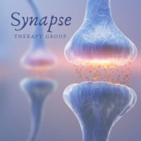 Synapse Therapy Group logo - Similar company to Synapse Child Development & Activity Centre