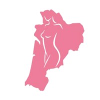 URPS Sages Femmes Nouvelle-Aquitaine logo - Similar company to O3Pna