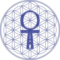 ANKH & OHM CAPITAL logo - Similar company to Bitcoin For Millennials