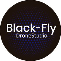 Black-Fly logo - Similar company to Black Fly Media